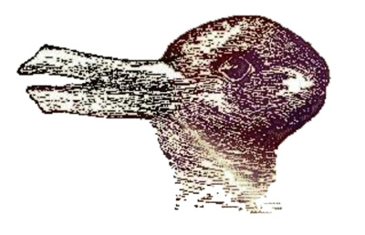 Duck or rabbit